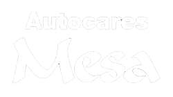 Logo autocares Mesa