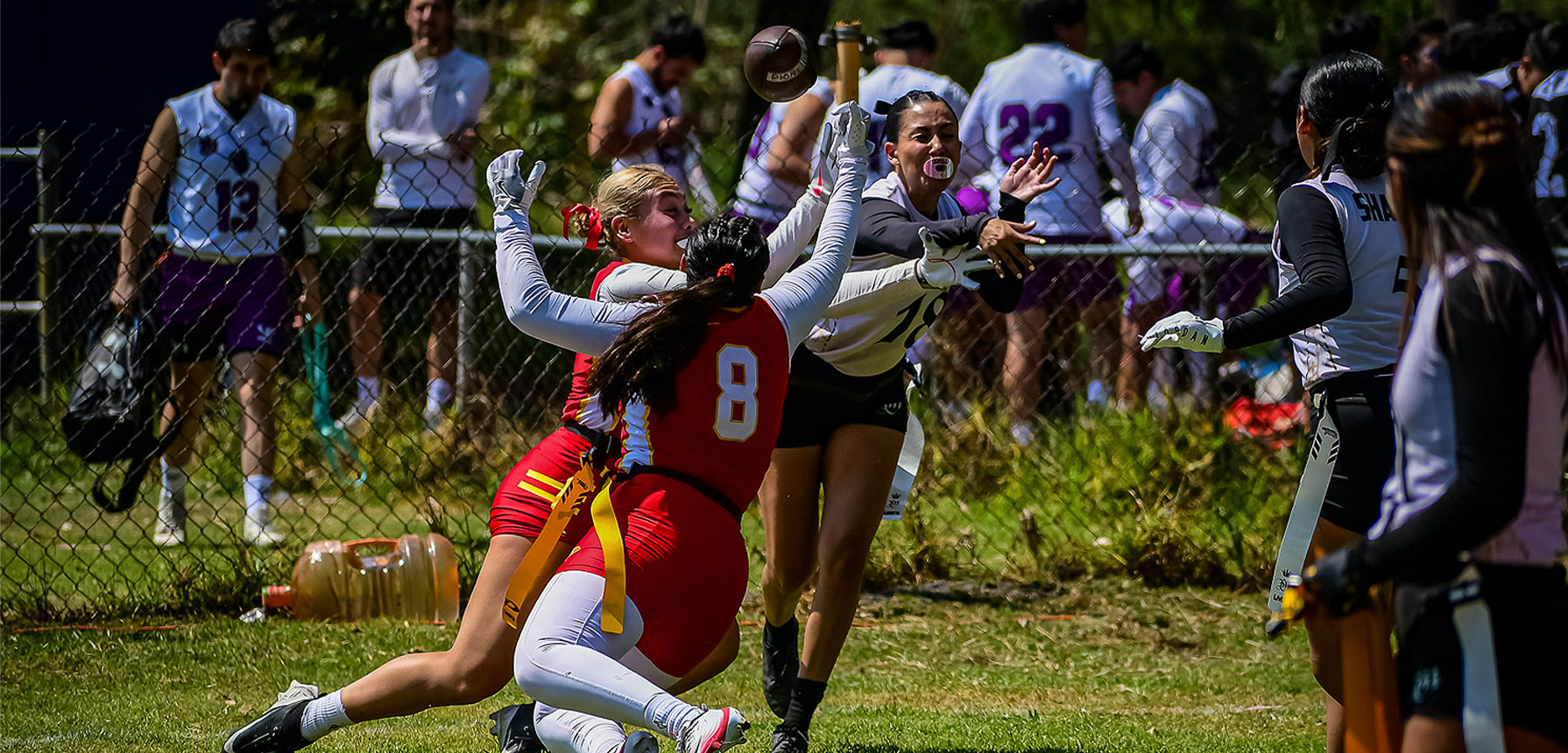 LMT DIV II Plata 2026: Jornada perfecta